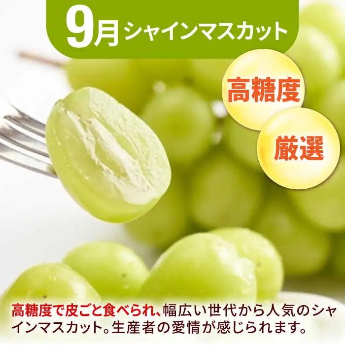 【先行予約2027年4月発送開始】【3回定期便】フルーツ定期便（びわ/ぶどう/シャインマスカット）果物 [AFAB025] 