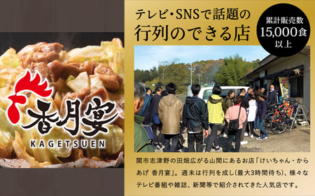 【調理済・冷凍】香月宴の鶏ちゃん・からあげ・旨辛からあげセット 計780g