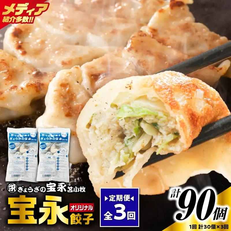 【定期便・全3回 毎月】手包み餃子 ぎょうざの宝永 宝永餃子30個セット（宝永餃子15個入×2袋） T004-T01-02-02 定期便 定期 惣菜 総菜 餃子