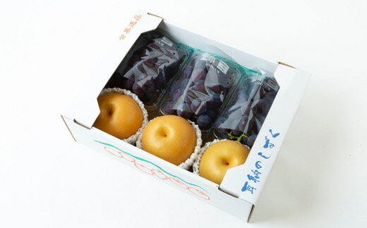 【ふるさと納税】鈴木農園 特撰甘果逸品 梨・巨峰セット （3玉・3房） 【2026年8月下旬～9月上旬より順次発送予定】 ブドウ ぶどう 葡萄 フルーツ 果実 果物 冷蔵 送料無料 福岡県 うきは市