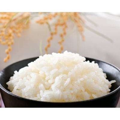 ふるさと納税 宝達志水町 【6回 定期便 】米 コシヒカリ「弘宝米」 精米 5kg 総計 30kg [38601283] |  | 01