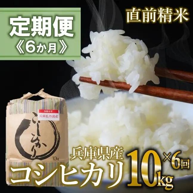 【定期便/６回】コシヒカリ 白米10kg ×6か月連続お届け