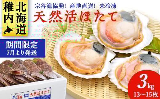 ＜先行受付＞宗谷漁協発!産地直送!活ほたて約3㎏(13～15枚入)刺身 海鮮