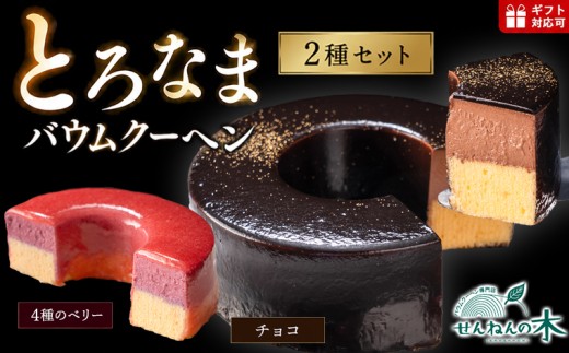 とろなまバウムクーヘン「とろなま2種セット（チョコ・4種のベリー）」 せんねんの木　バウムクーヘン バームクーヘン チョコレート チョコ イチゴ ブルーベリー カシス フランボワーズ ベリー ムース ビター スイーツ デザート おやつ 洋菓子 焼菓子 菓子 ケーキ アイス 手作り おすすめ 箱 手土産 ギフト プレゼント 贈り物 贈答 バレンタイン ホワイトデー お祝い 記念日 受賞 雑誌 テレビ