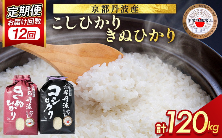 【9月より新米】【定期便】米 京都丹波米10kg (こしひかり5kg・きぬひかり5kg) ×12回 計120kg○12ヶ月 12回定期便 コシヒカリ・キヌヒカリ 各5kg※精米したてをお届け 白米