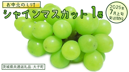 【 お中元 熨斗付き】 シャインマスカット １房 【2025年7月上旬発送開始】(茨城県共通返礼品：大子町) ぶどう 葡萄 ブドウ マスカット フルーツ 果物 贈答用 ギフト 贈り物
