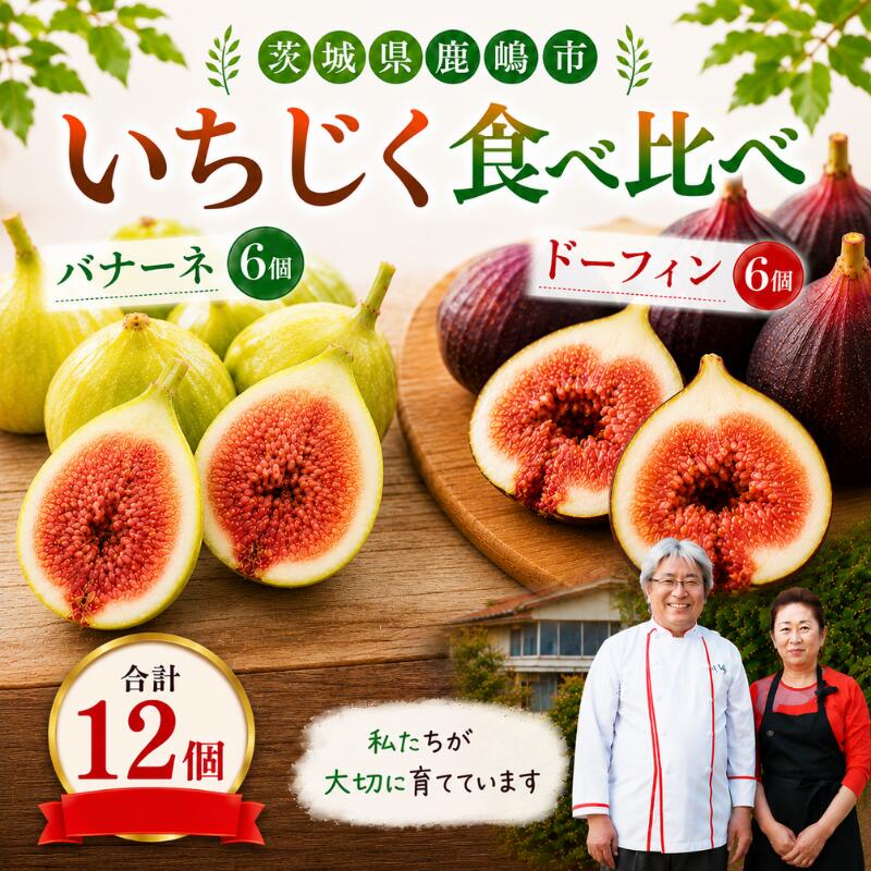 【ふるさと納税】 いちじく 食べ比べ バナーネ ドーフィン 数量限定 健康 美容 ヘルシー 600g相当 12個入り 各6個 フルーツ 果物 くだもの 冷蔵 デザート 旬 贈答 ギフト プレゼント 新鮮 国産 産地直送 期間限定 甘み 酸味 消化促進 濃厚 【7～10月発送】 茨城県 鹿嶋市