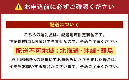 【ブラウン】ダニを通さない生地使用 掛敷布団カバー 2点セット 【ダブルロングサイズ】 寝具 布団カバー カバー セット 敷布団 掛け布団 ダブルロング