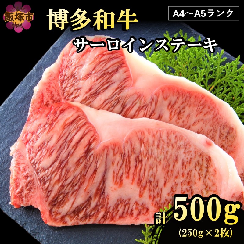 【A4-A5ランク】博多和牛サーロインステーキ 500g