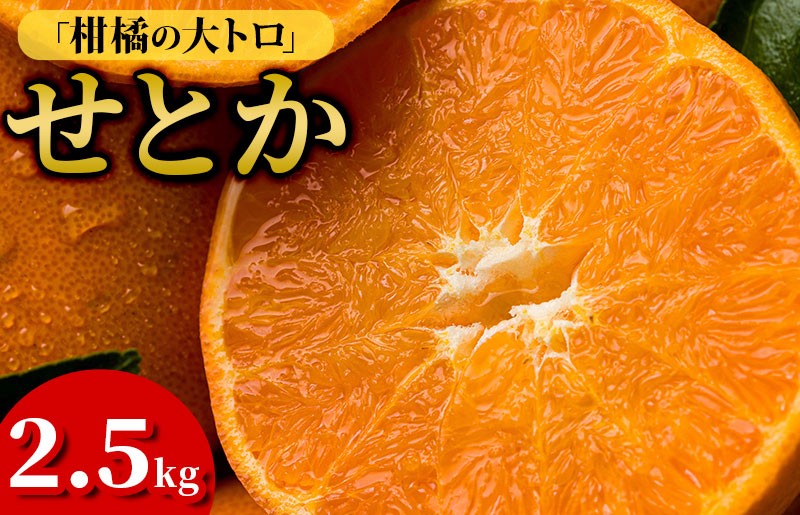 
                  【先行予約】【数量限定】ホリ田ヤ せとか 2.5kg【K002420】
                