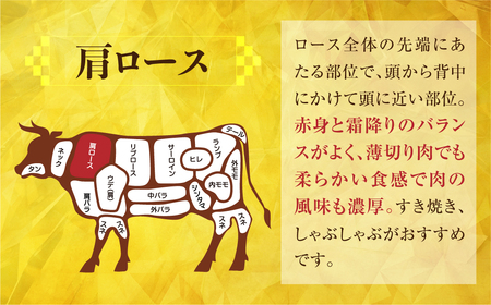 飛騨牛 すき焼き 肩 ロース 肉  300g すきやき すき焼き肉 しゃぶしゃぶ 霜降り 飛騨 鍋 家族 友人と 牛肉 国産 岐阜県 黒毛和牛 和牛 A4 贅沢 祝 プレゼント 冷凍 人気 おすすめ 