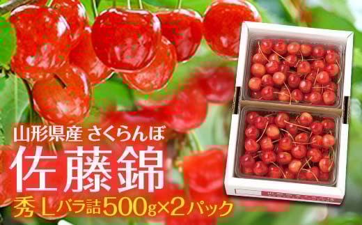 
            FYN9-460 山形県産 さくらんぼ 佐藤錦 1kg(500g×2) 秀 Ｌ バラ詰め 2025年6月中旬から順次発送 果物 くだもの フルーツ 果実 チェリー 桜桃 贈答 贈り物 ギフト プレゼント ギフト箱 自宅用 家庭用 期間限定 産地直送 山形県 西川町 月山
          