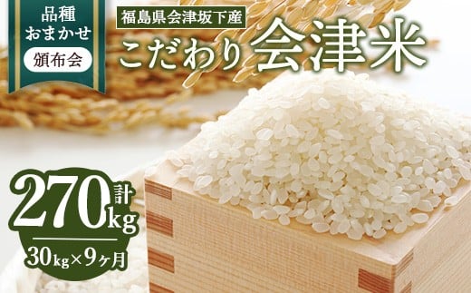 【おまかせ定期便】会津坂下産 こだわりの会津米（頒布会）30kg×9ヶ月（計270kg） ※北海道・沖縄・離島への配送不可 ※2025年11月上旬頃より順次発送予定