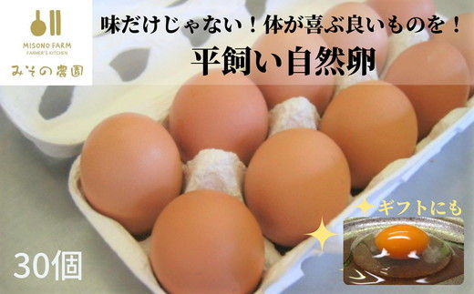 
たまご 卵 30個 オーガニック ギフト みその農園 ご飯のお供 料理 食材 食品 食べ物
