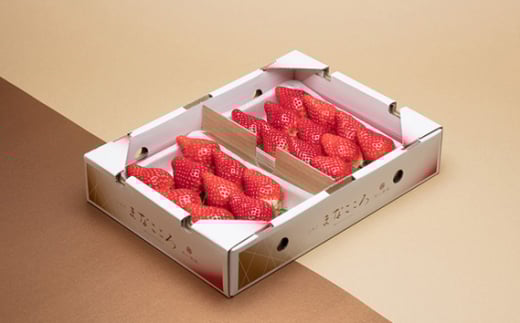 【先行予約】とちおとめ【2パック×280g】まなこころ・楓