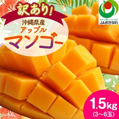【2027年6月から順次発送・訳あり】アップルマンゴー1.5kg(3～6玉)【配送不可地域：離島】