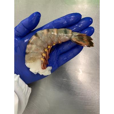 ふるさと納税 塩竈市 大きなエビフライ(4尾約280g×2パック) |  | 02