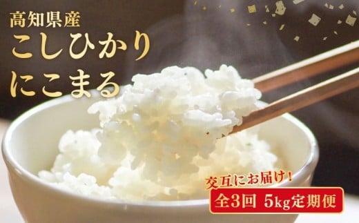【令和7年産】 米 こしひかり にこまる 5kg 3ヶ月定期便 計15kg お米 白米 精米 新米 コシヒカリ ごはん ご飯 高知県産 弁当 おにぎり 料理 高知県安芸市 超早場米 全国 大消費地 人気 粘り 甘み おいしい 日本 食べられている 寄付 翌月 3回 発送 8月 上旬 R7年産 安芸市 高知県