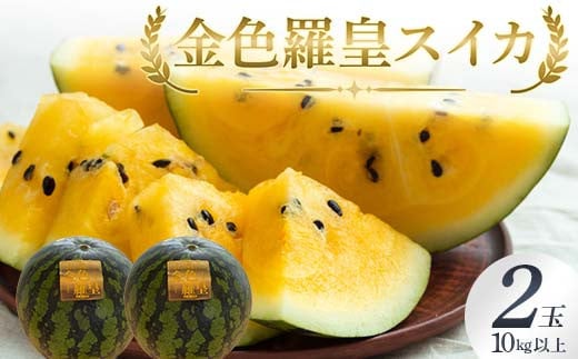 《2026年 先行予約》 スイカ 金色羅皇（こんじきらおう） 2玉 10kg以上 フルーツ 果物 FSY-2075