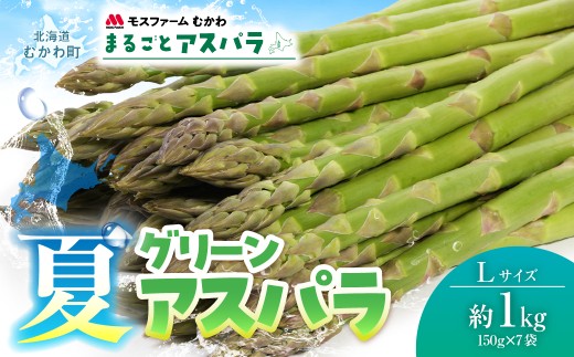 夏アスパラLサイズ 約1kg（150g×7袋入）  【ふるさと納税 人気 おすすめ ランキング グリーンアスパラ アスパラガス 北海道産アスパラ 産地直送 新鮮野菜 朝採りアスパラ 春野菜 国産野菜 農場直送 野菜ギフト 北海道 むかわ町 送料無料】 MKWM005