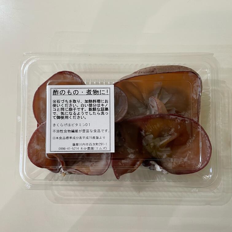 【ふるさと納税】【数量限定・無農薬】薩摩川内市産の生きくらげ 360g（120g×3パック）AS-024 数量限定 無農薬きくらげ きくらげ 国産菌床 薩摩川内市産 生きくらげ 鹿児島県 薩摩川内市 送料無料