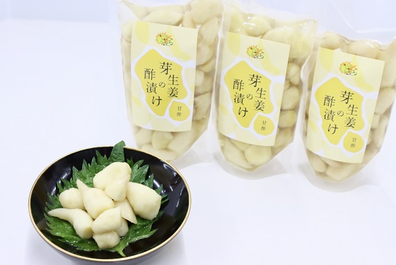 芽生姜の甘酢漬け 3パック