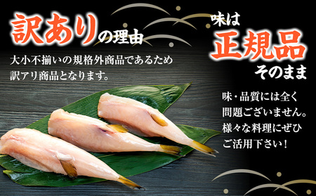 訳あり サバフグ 1kg 鍋 唐揚げ フグ 塩 焼き 小分け 魚 河豚 さかな 魚介 海鮮 新鮮 さかな 海の幸 海産物 グリル ごはん