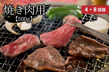 【定期便 12回コース】 肉好き大集合！若狭牛三昧MAX！！ 定期便！！【N-3202】