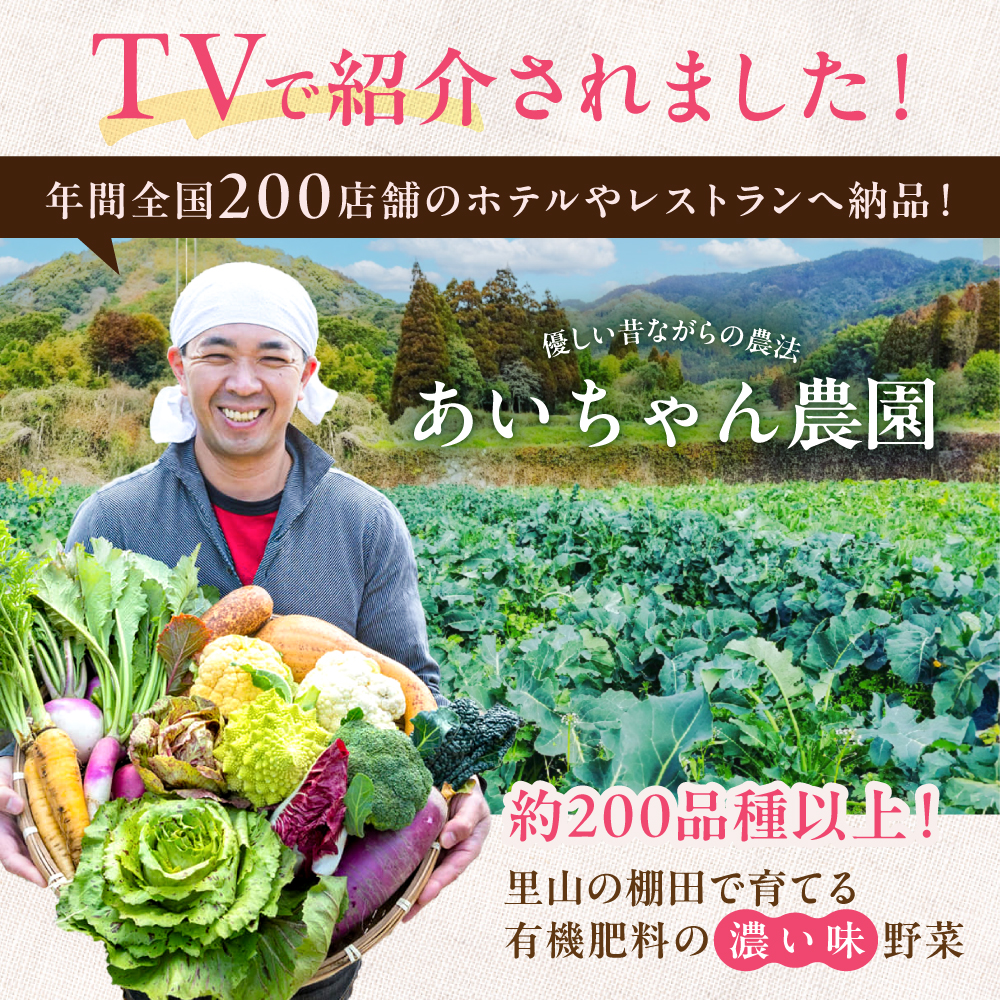 【8品×12回定期便】「使いやすい野菜」×「珍しいイタリア野菜」食べ比べセット【吉野ヶ里あいちゃん農園】[FAA026]