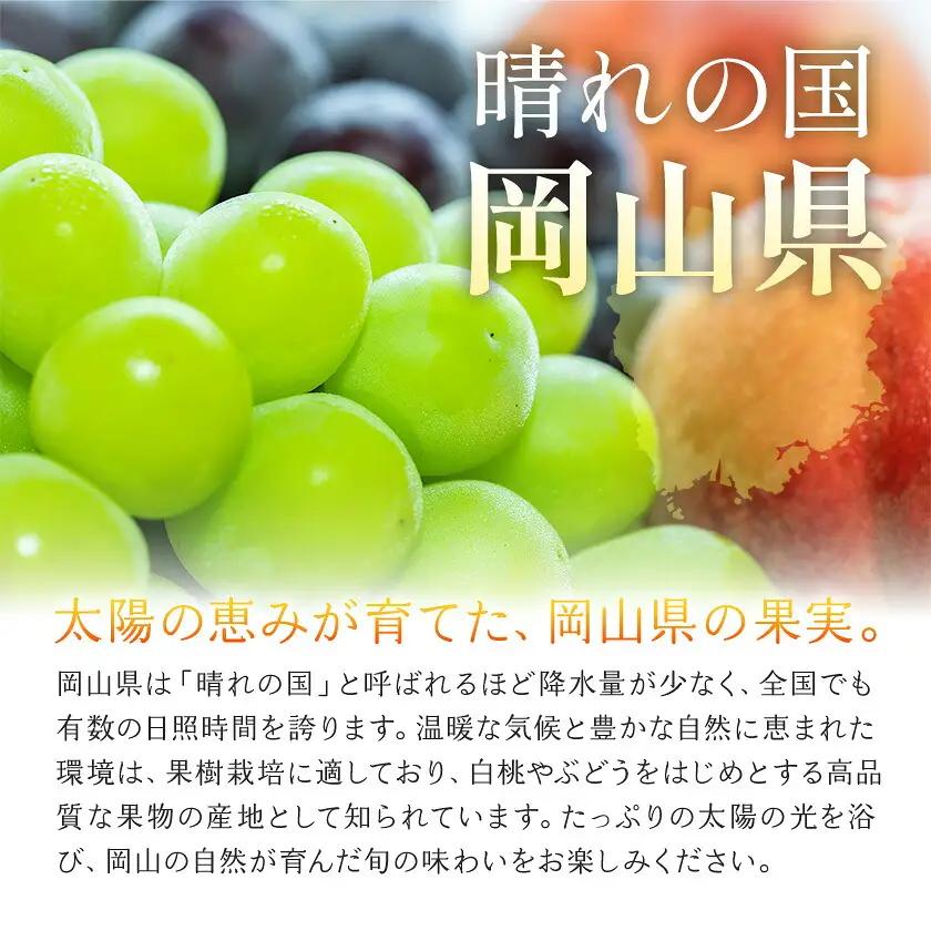 【2027年発送先行予約】岡山県産 ゴールドフィンガー 1房 約400g【配送不可地域：離島】