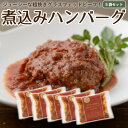 【ふるさと納税】なかほら牧場の煮込みハンバーグ5個セット【配送不可地域：離島】【1324166】