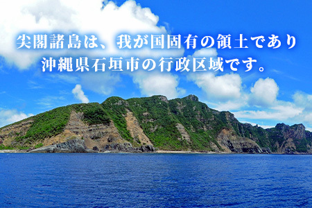 【返礼品なし】石垣市の宝「尖閣諸島」資料収集及び情報発信等事業 の為の寄附(500000円)