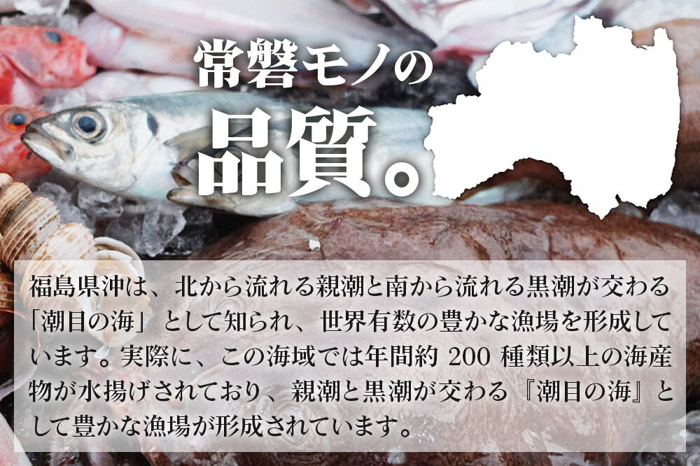 常磐モノ4種入り ゴロゴロ海鮮ユッケ丼 100g×5P シーフード 肴 おかず 魚のおんちゃま [ユッケ 海鮮丼 丼物 どんぶり センシン食品]
