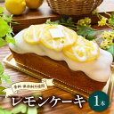 【ふるさと納税】 レモンケーキ 香料 保存料 不使用 藤枝 れもん おやつ 菓子 ケーキ 檸檬 レモン 贈答 贈り物 プレゼント ギフト 祝い お取り寄せ グルメ ご当地 おすすめ スイーツ 静岡県 藤枝市