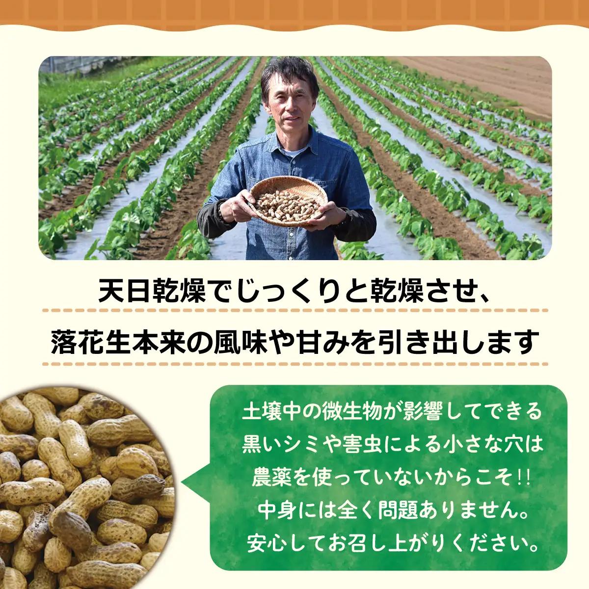 【先行予約】【12月上旬から発送】千葉県産 カラ煎り落花生 千葉半立 600g（200g×3） SMF004