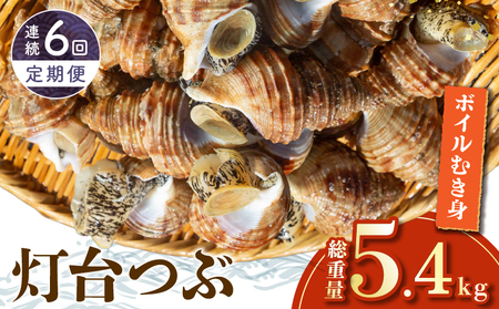 ＜全6回・連続＞灯台つぶ定期便【総重量5.4kg】　ツブ貝 灯台つぶ 300g × 3パック 6回 合計18パック 国産 新鮮 へた処理済 ボイル 灯台つぶ貝 むき身 海鮮 炊き込みご飯 北海道 浜中町 お取り寄せ グルメ 海産物 魚介類 貝 冷凍 真空パック 送料無料_H0023-007