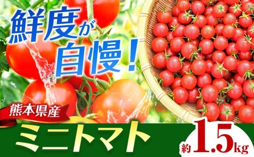 ミニトマト 約1.5kg | 野菜 トマト とまと ミニトマト みにとまと ミニ トマト 熊本県 玉名市