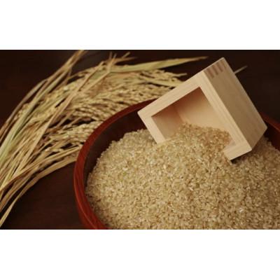 ふるさと納税 西脇市 兵庫県産【ヒノヒカリ】令和6年産　玄米10kg(10kg×1袋) |  | 01