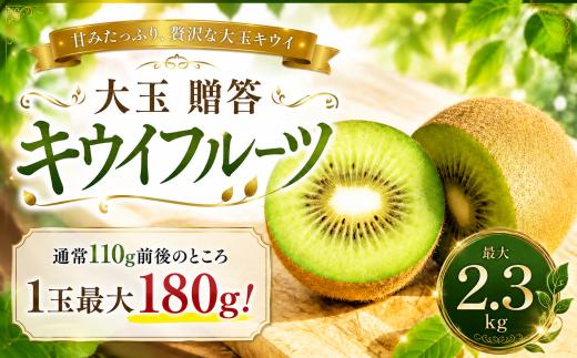キウイフルーツ 贈答 最大 2.3kg 大玉 キウイ フルーツ セット先行受付 果物 くだもの ギフト お歳暮 プレゼント 詰め合わせ 詰合 【2026年12月より順次発送】ヘイワード 追熟 国産 贈答用 フルーツガーデン関本 千葉県 香取市 FGS001