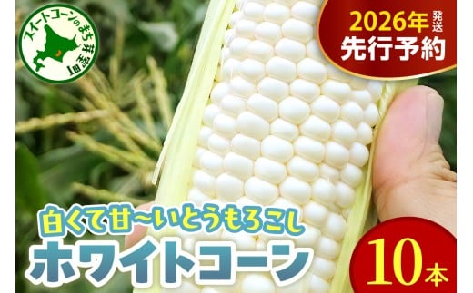 【先行受付】【2026年8月10日～8月下旬配送】北海道 十勝芽室町 とうもろこし ホワイトコーン 10本セット me078-004c-26