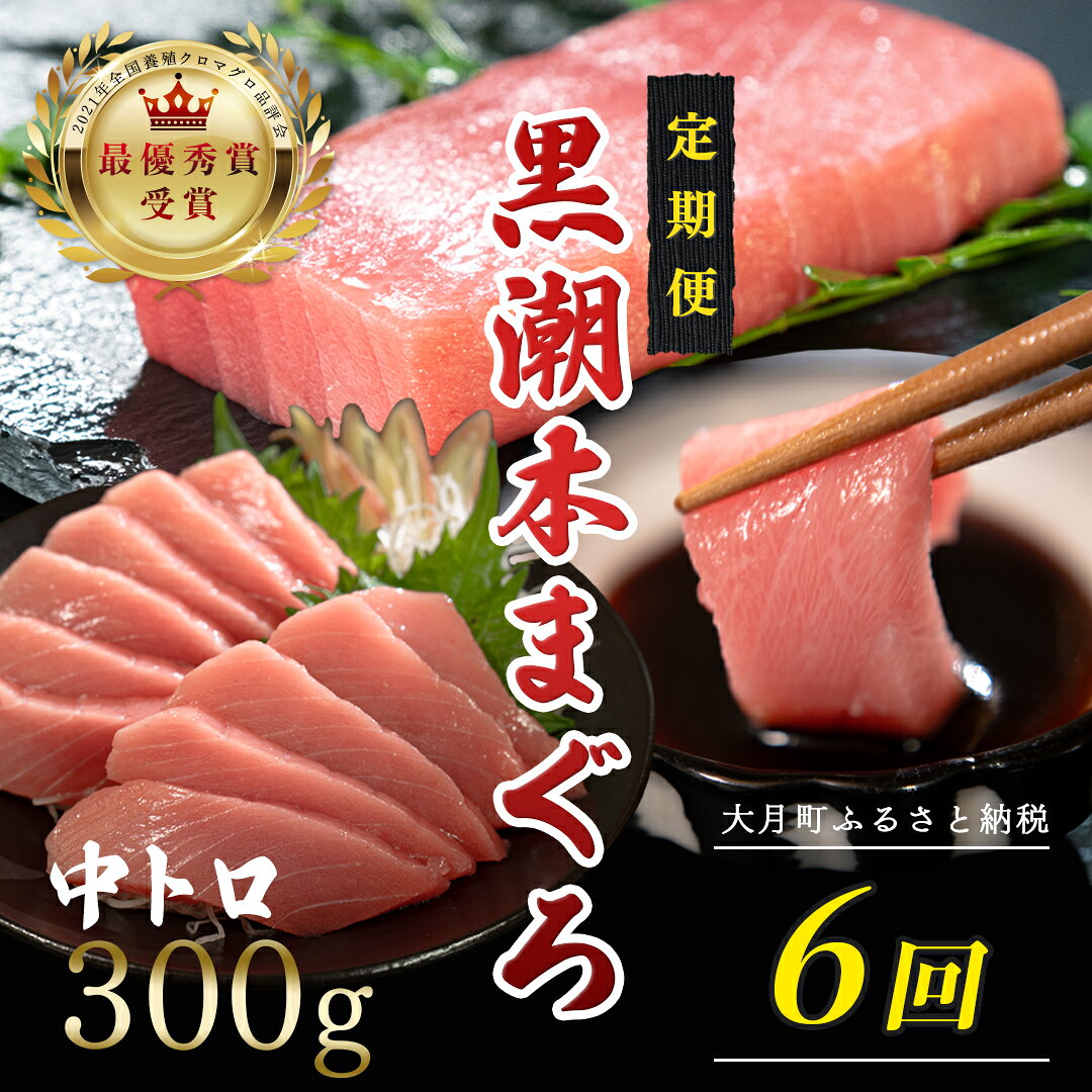 【ふるさと納税】 訳あり 不定貫 定期便 6回 国産 養殖本マグロ 中トロ 毎回300g×6回 黒潮本まぐろ 最優秀賞受賞 6ヶ月 6か月 半年 柵 刺身用 本マグロ 本鮪 鮪 まぐろ お刺身 さしみ トロ 海鮮丼 漬け丼 手巻き寿司 まぐろ丼 9万円
