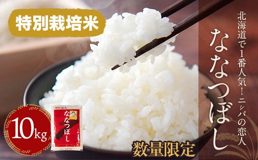 【令和7年産新米】北海道で１番人気！「ニシパの恋人」ななつぼし10kg（10kg×1） ふるさと納税 人気 おすすめ ランキング ニシパの恋人 ななつぼし お米 米 ご飯 白米 おいしい 北海道 平取町 送料無料 BRTH014