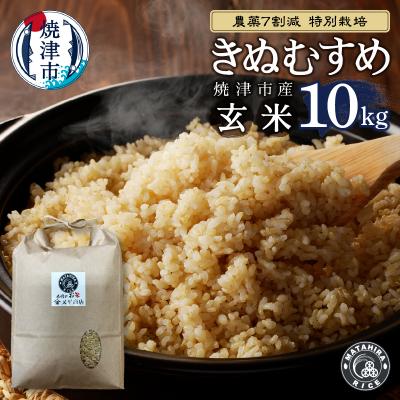 ふるさと納税 焼津市 特別栽培 きぬむすめ 玄米 10kg(5kg×2袋)(a42-013)