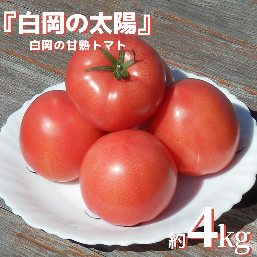 【ふるさと納税】甘熟トマト『白岡の太陽』約4kg　【11246-0123】