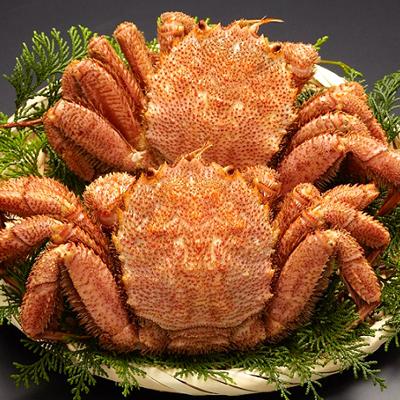 ふるさと納税 森町 前浜茹で毛がに2尾(約450-500g) |  | 01