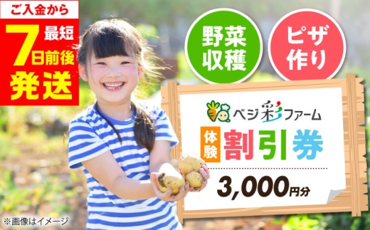 ベジ彩ファーム　割引チケット 3,000円分 体験 国内 野菜収穫 ピザづくり 親子体験 大阪府高槻市/ベジ彩ファーム [AOEJ001]