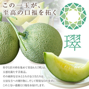 【先行予約】養液栽培メロン「璻」1玉【Standard】（重さ1.3㎏以上）｜メロン めろん フルーツ 常滑市