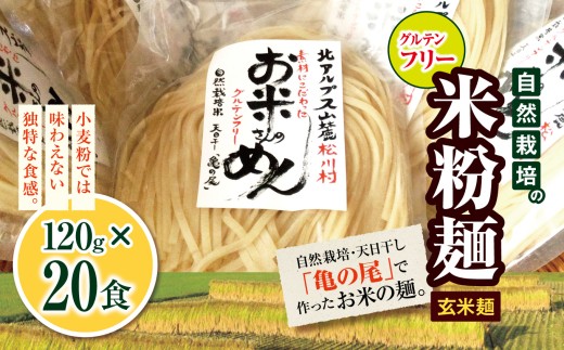 グルテンフリ—  自然栽培の米粉麺 （ 玄米麺 ）120g× 20食  ｜麺 めん 米粉 米粉麺 米粉めん グルテンフリー お米のめん 半生麺 玄米麺 長野県 松川村 信州