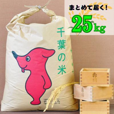 ふるさと納税 館山市 吉田米屋イチオシ!白米25kg つやつや館山産コシヒカリ1等米 | 