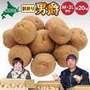 【ふるさと納税】北海道 幌加内産 じゃがいも（ 男爵 ）約20kg 笠井ファーム　とうもろこし・野菜・じゃがいも・芋　お届け：2024年9月下旬～12月中旬